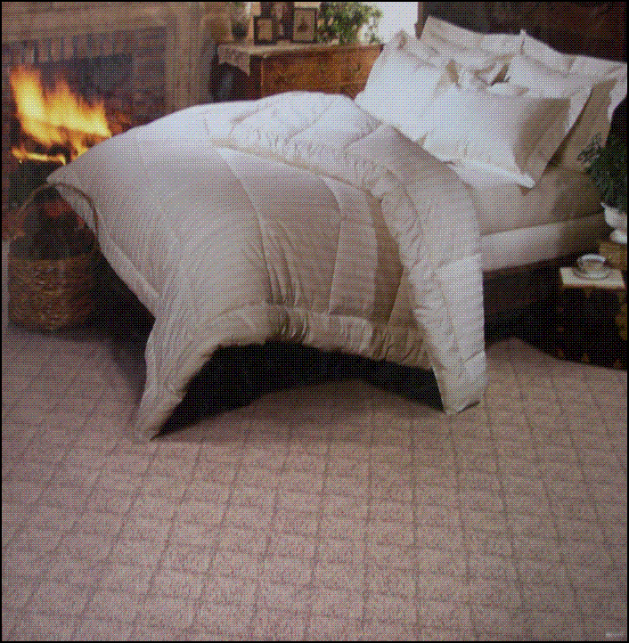 half-size image